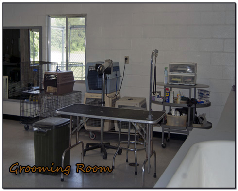 A Pet Examination Room With Equipment